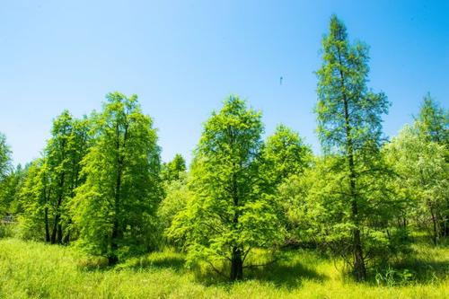 微米生物：餐廚垃圾長久堆放產生什么可怕后果？